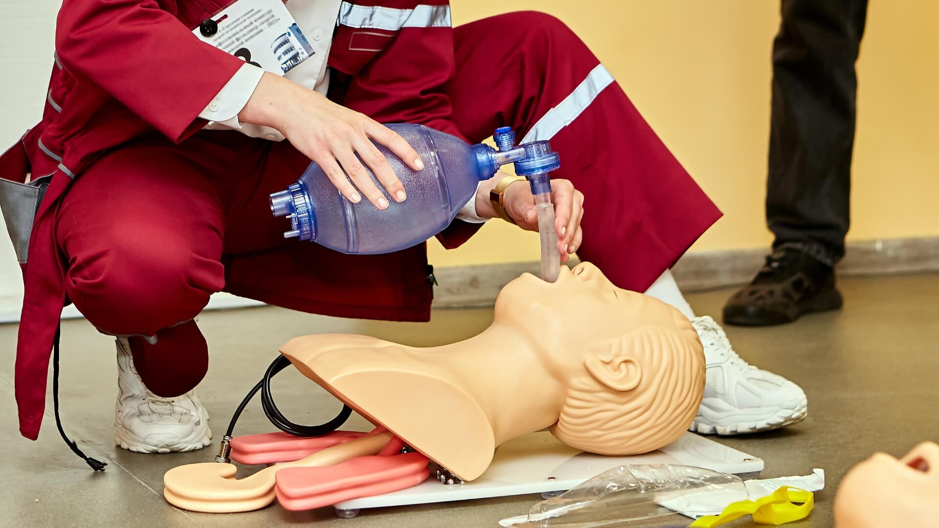 Nurturing excellence in medical simulation models with quality